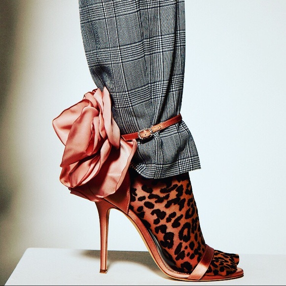 Meet your Posher, Lulu - Picture 1 of 1